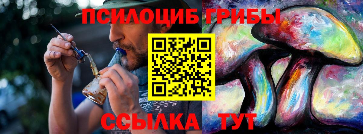 Псилоцибиновые грибы Psilocybine cubensis  Вход с VPN  Россия 